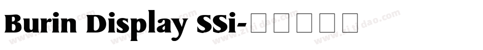 Burin Display SSi字体转换
